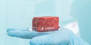 Regenerative Agriculture: The Game Changer for the Pet Food Industry