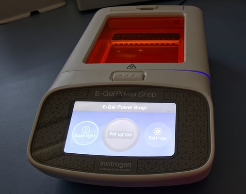 Thermo Fisher’s Kentucky Gambit: A Game-Changer for Healthcare Diagnostics