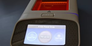 Thermo Fisher’s Kentucky Gambit: A Game-Changer for Healthcare Diagnostics