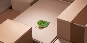 Green Horizons Ahead: DHL and Envision’s Eco-Revolution in Logistics