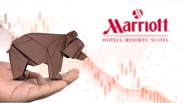 Why Hotel Stocks are More Unpredictable Than Your Favorite Rollercoaster