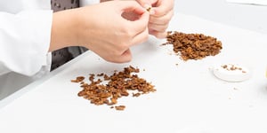 FDA’s New Tobacco Purchase Age Verification Rule: A Closer Look at the Impact