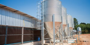 Navigating the Challenges of Poultry Feed Production in 2023