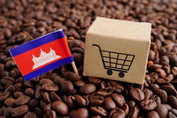 Vietnam E-commerce: The Priceless Gem in Southeast Asia’s Digital Crown