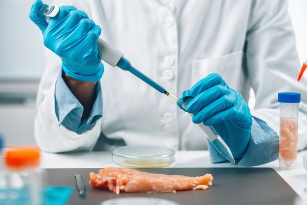Navigating the Regulatory Skies: FSIS’s New Measures Against Listeria in Poultry