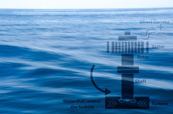 Harnessing the Waves: Israel’s Leap into Wave Energy