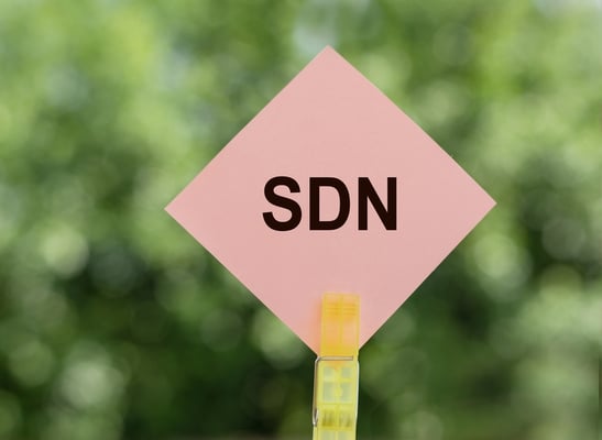 Revolutionizing Automotive Software Procurement: The Launch of SDVerse