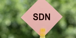 Revolutionizing Automotive Software Procurement: The Launch of SDVerse