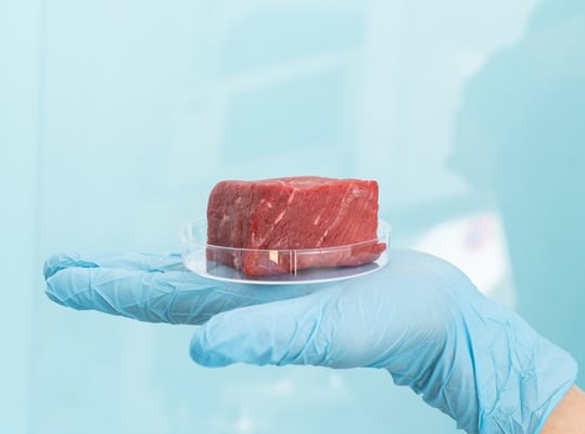 The Dawn of a New Era: UK Embraces Cultivated Meat in Pet Food