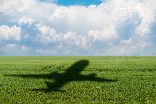 The Rise of Biofuels: Big Oil’s Green Pivot