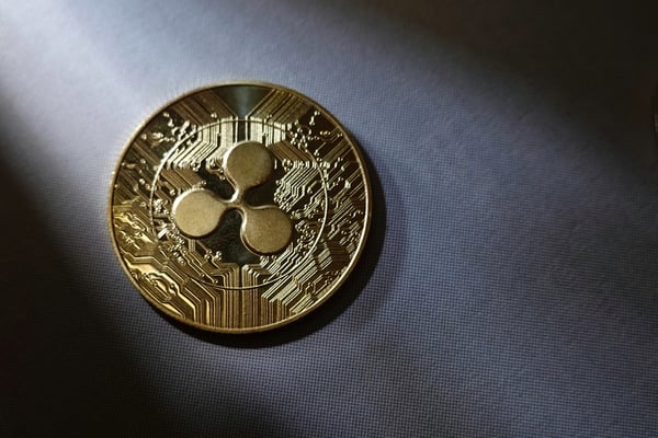 The Rise of Rexas Finance: A New Challenger to Cardano’s Throne?