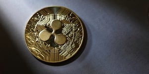 The Rise of Rexas Finance: A New Challenger to Cardano’s Throne?