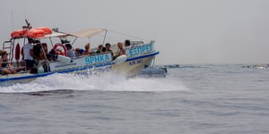 Cruise Lines Navigate New Waters: Adapting to Over-Tourism Measures in Greece