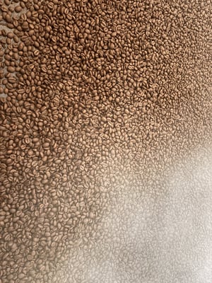 India’s Coffee Sector: Riding the Wave of Global Price Surges