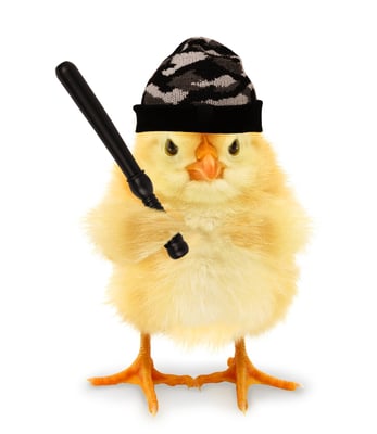 Angry Chickz Bolsters Executive Team to Fuel Nationwide Expansion