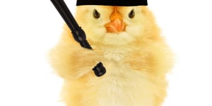 Angry Chickz Bolsters Executive Team to Fuel Nationwide Expansion