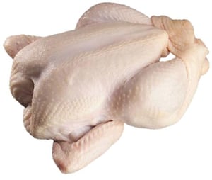 pollo tipo europeo -1.5-  (6 ud) 9 kg aprox