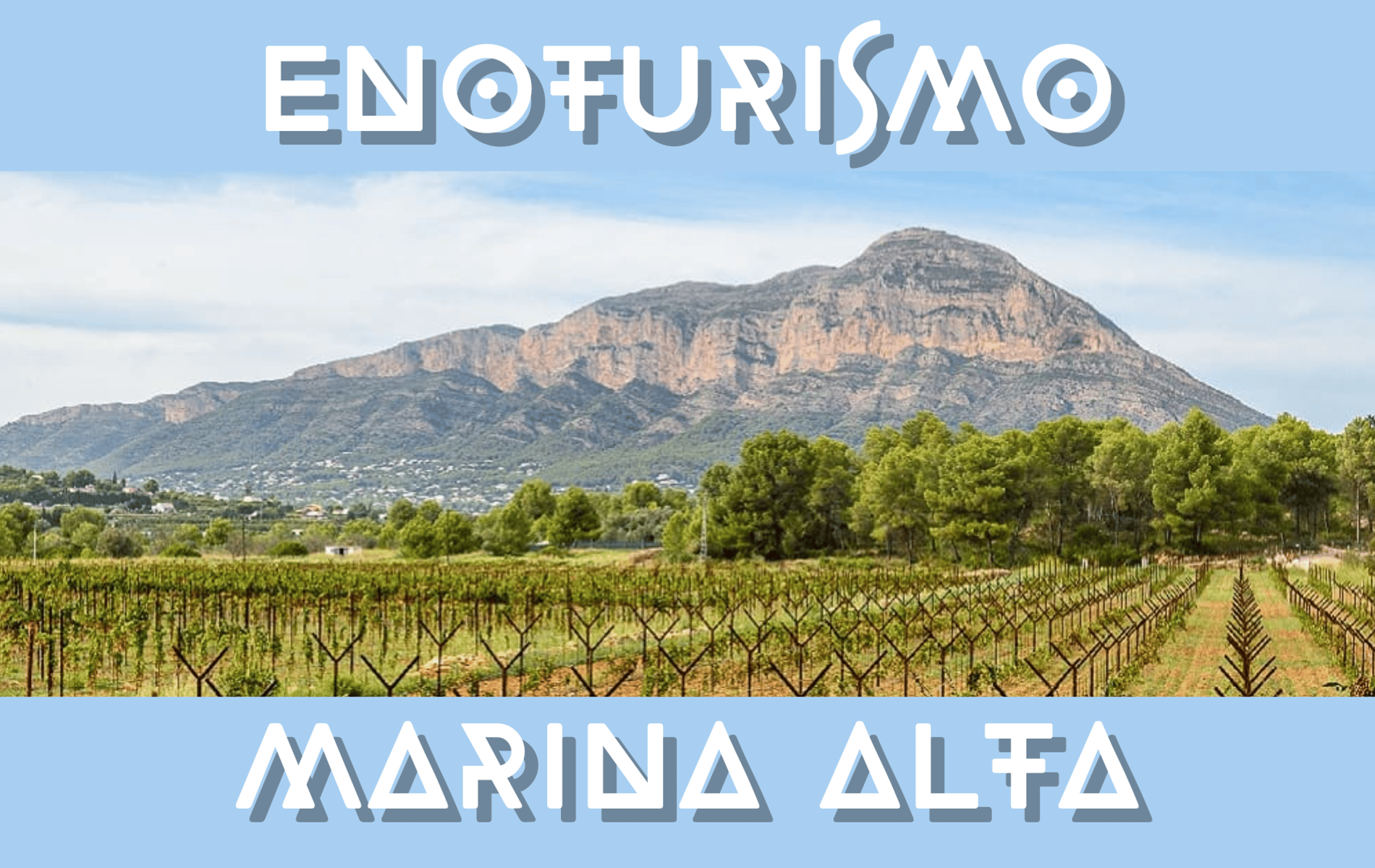enoturismo en la marina alta