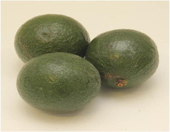 aguacates