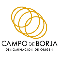campo de borja