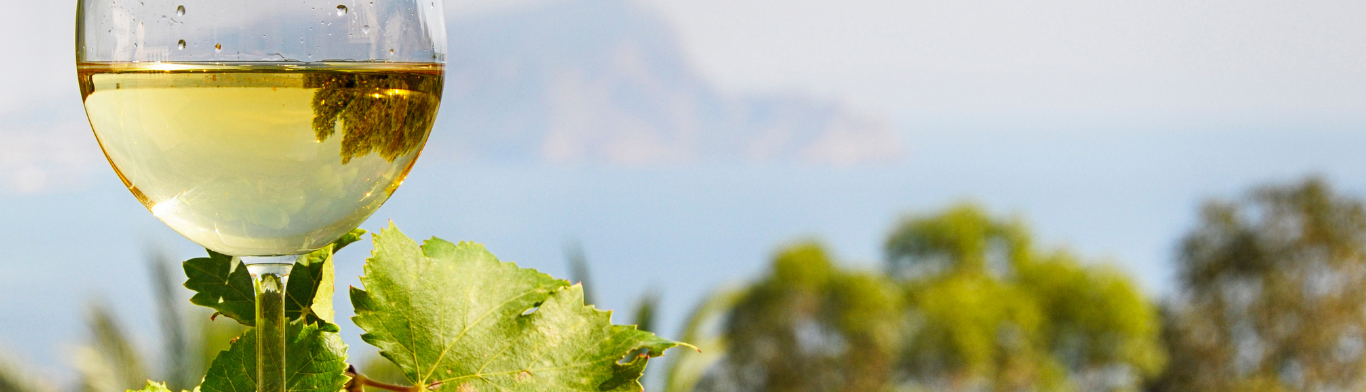 Vinos blancos