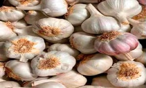 ajo castaño granel ( fruteria )