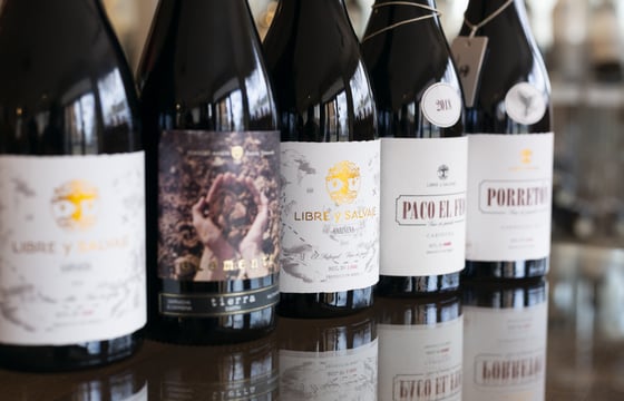 cata de vinos premium