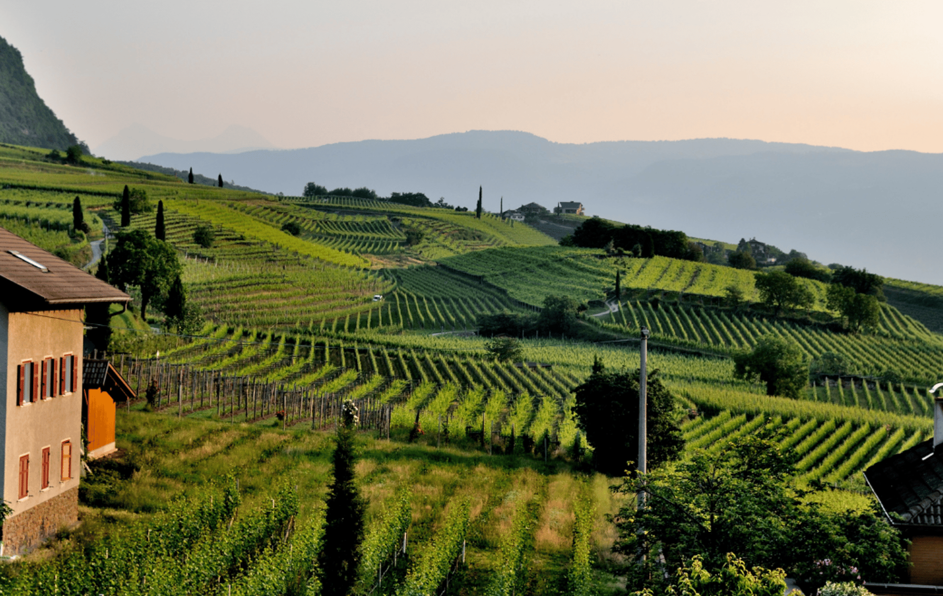 tipos de denominación de origen