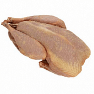 pavita fresca 2.5-3 kg.