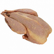 pavita fresca 2.5-3 kg.