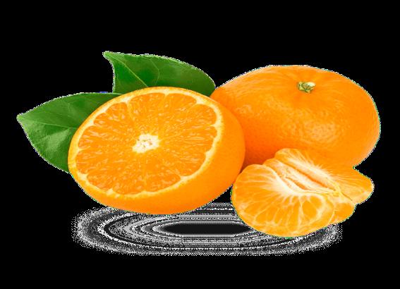 mandarinas