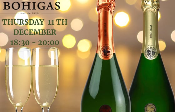 cata con bohigas / wine tasting with bohigas