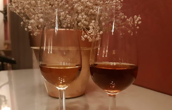 características entre vino de jerez y oporto