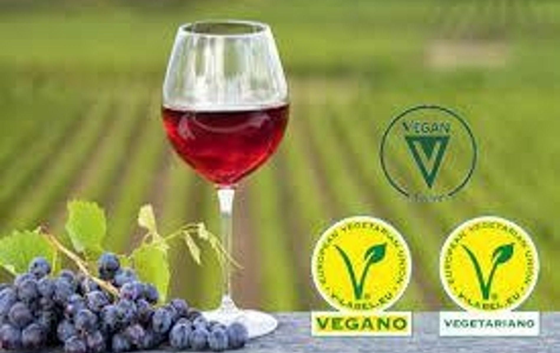 cómo saber si un vino es vegano