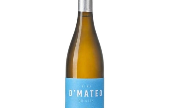 el difuso origen del vino torrontés