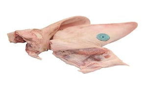 orejas de cerdo frescas