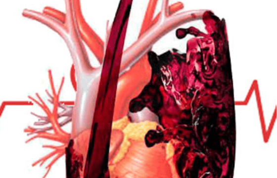 salud y vino: cómo influye en el colesterol