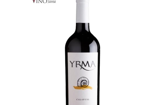 cata puertas abiertas “yrma”