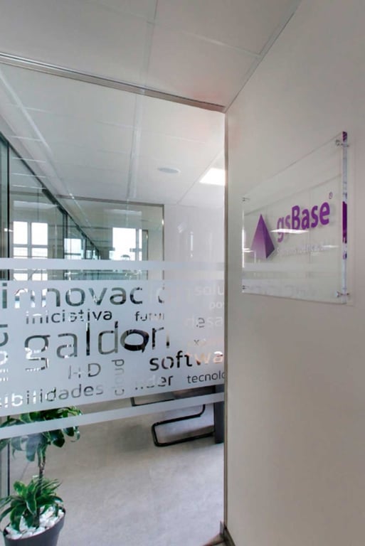 Vídeo Corporativo Galdón Software 