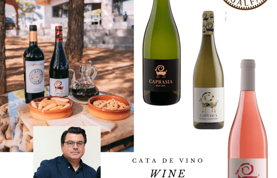 cata con bodegas vegalfaro / wine tasting with bodegas vegalfaro