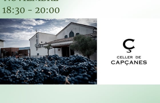 cata con bodega celler de capçanes / wine tasting with bodegas celler de capçanes
