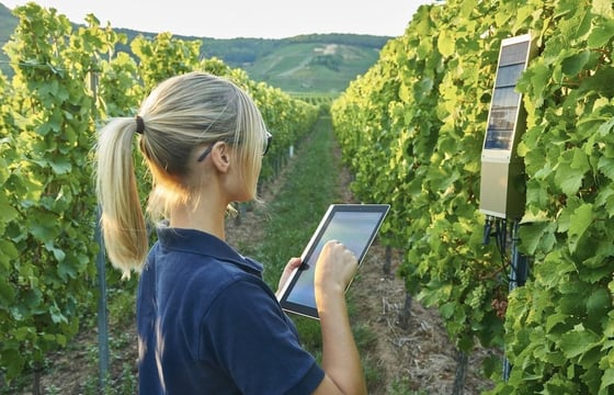 vinos y clientes más conectados