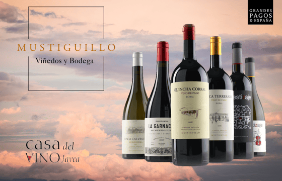 bodega mustiguillo en casa del vino jávea