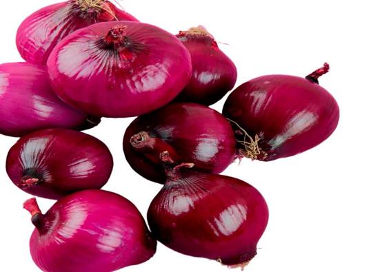 cebolla morada 