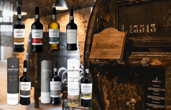 un viaje por los vinos portugueses en casa del vino jávea