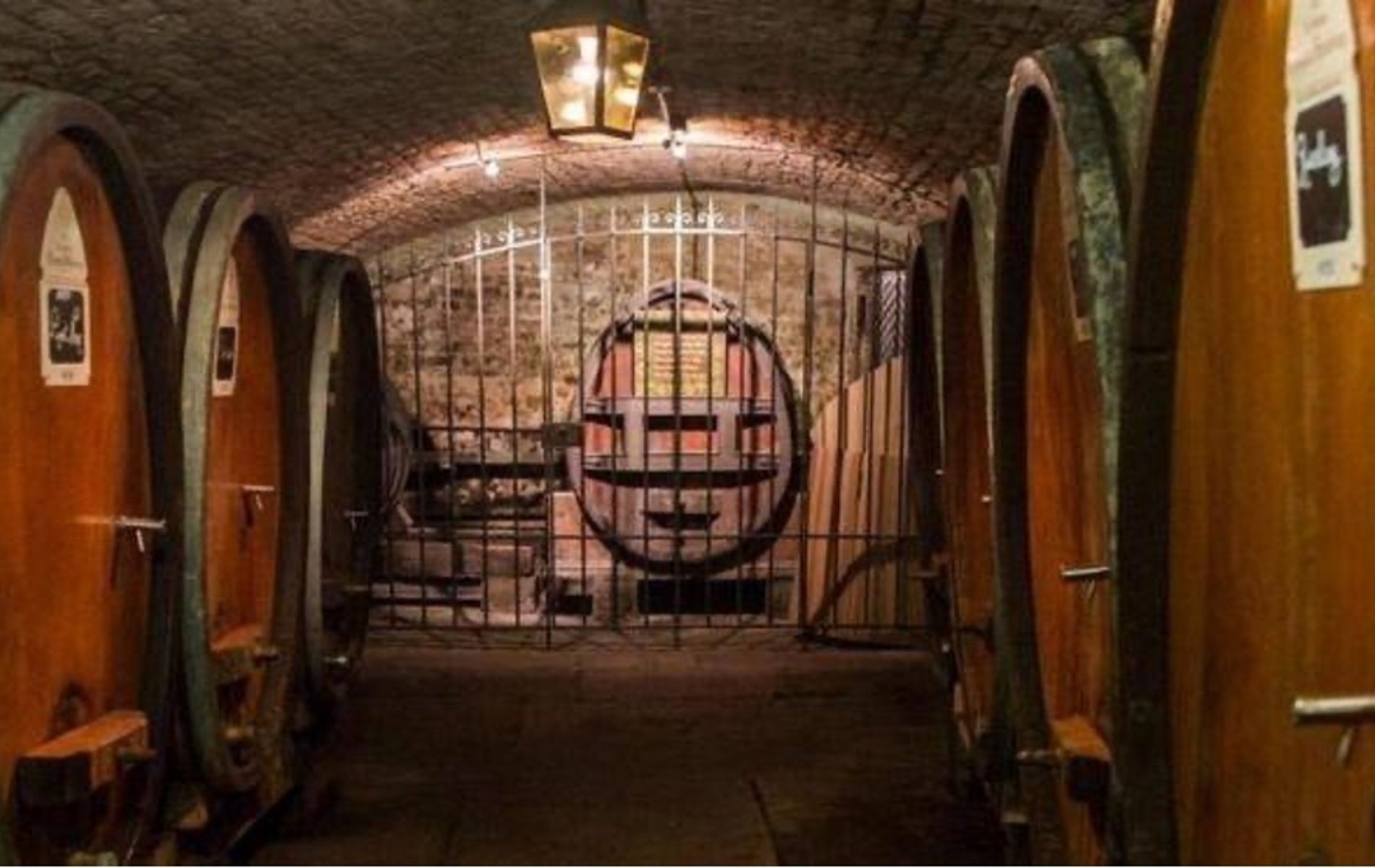 el insólito hospital francés que curaba a sus pacientes con vino