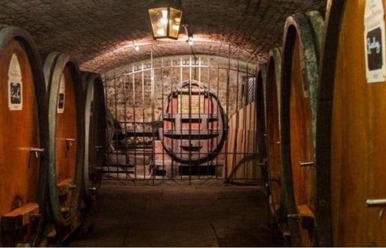 el insólito hospital francés que curaba a sus pacientes con vino