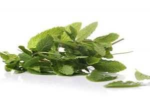hierbabuena (fruteria)