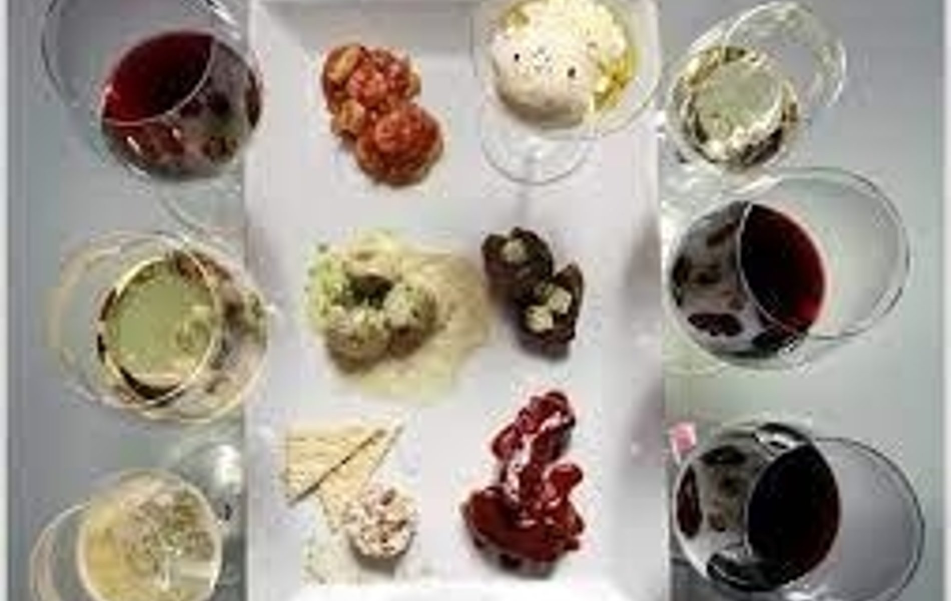 cancelado cata maridaje con chef martin y una experta en vinos de casa del vino.