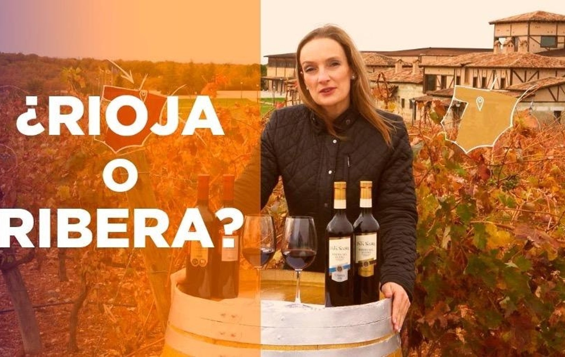 diferencias entre los vinos rioja y ribera